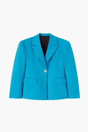 BLUE BLAZER