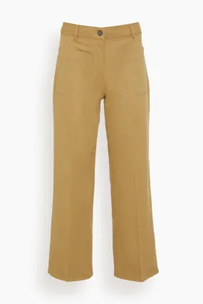 Delias Pant in Mastic