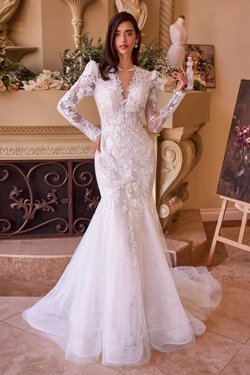 LONG SLEEVE LACE MERMAID BRIDAL GOWN CDWL036